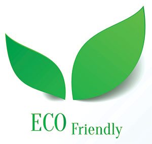 Ensure Eco Friendly Document Logo